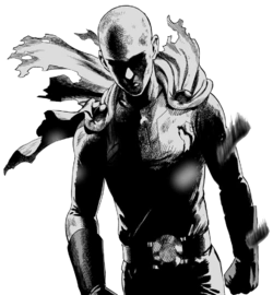 Archivo:Saitama serio 2.png