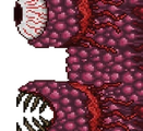 Muro de Carne