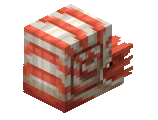 Nautilo