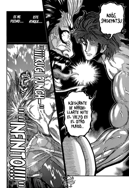 Archivo:Toriko-293-18-Infinite-Spike-Punch.jpg