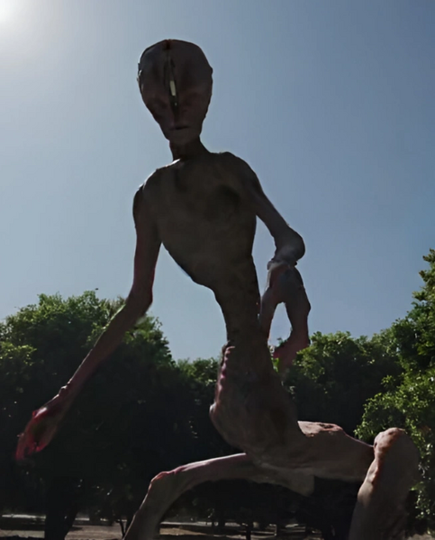 Archivo:Alienígenas Asesinos VHS FT.png