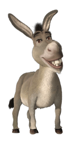 Burro