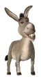 Burro