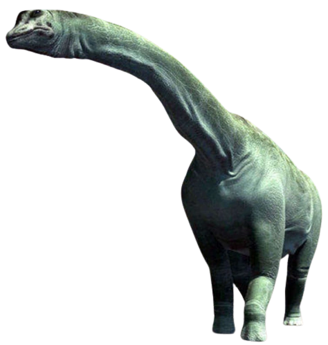 Archivo:Argentinosaurus FT.png