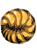 BB Pill Bug