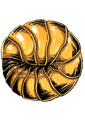 BB Pill Bug