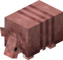 Armadillo