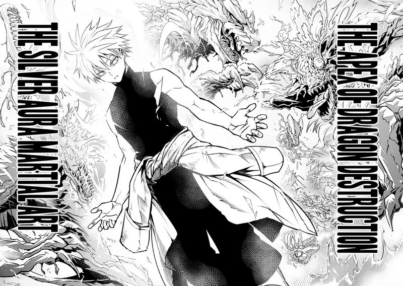 Archivo:Silver Aura Battle Arts.png
