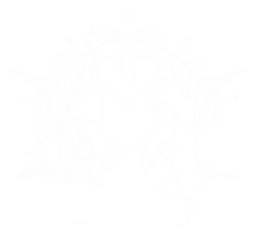 Archivo:Icon SS Farsight Art.png