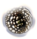 Archivo:Fragile Greed.png