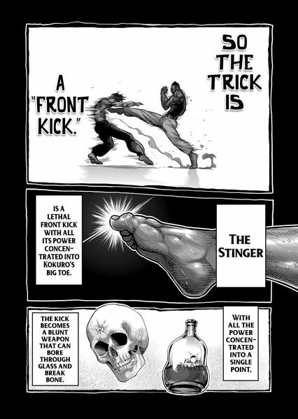 Archivo:Kokuro Stinger.jpg