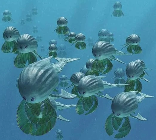 Archivo:Common-Silverswimmer-Grupo.jpg