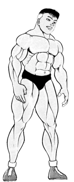 Archivo:Hanada render.png