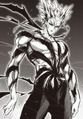Garou Medio-Monstruo