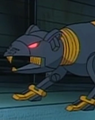 Ratbot