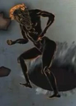 Cronus