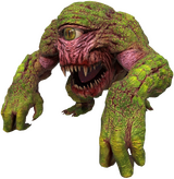 Gnaar