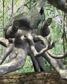 Squibbon