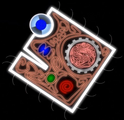 A Square