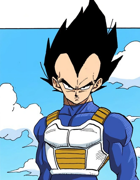 Archivo:Vegeta DBZ FT.png