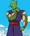 Piccolo