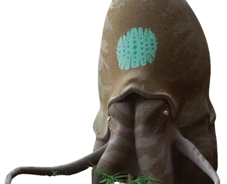 Archivo:Megasquid.png