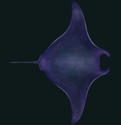 Archivo:Space-Manta-Ray.JPG