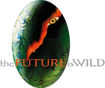 The Future is Wild