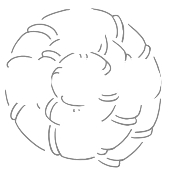 Archivo:Shaman Crest Inventory.png