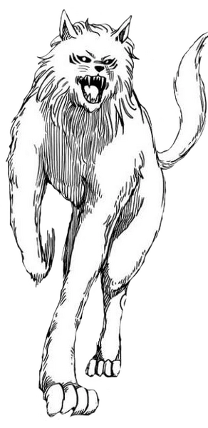 Archivo:Terry-Cloth-Toriko.png
