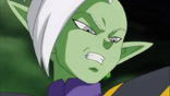 Zamasu del Futuro