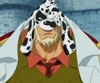 Dalmatian