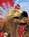 Carakiller