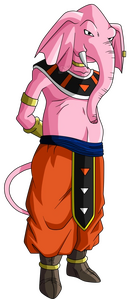 Rumsshi