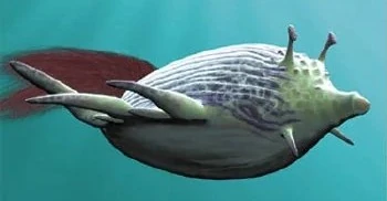 Archivo:Reef-glider1.jpg