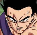 Son Gohan