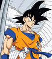 Goku (DBZ)
