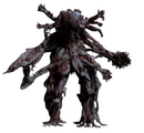 Zygote
