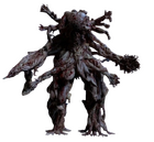 Zygote