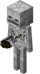 Esqueleto