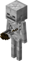 Esqueleto