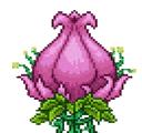 Plantera